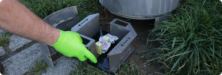 Validation institutionnelle